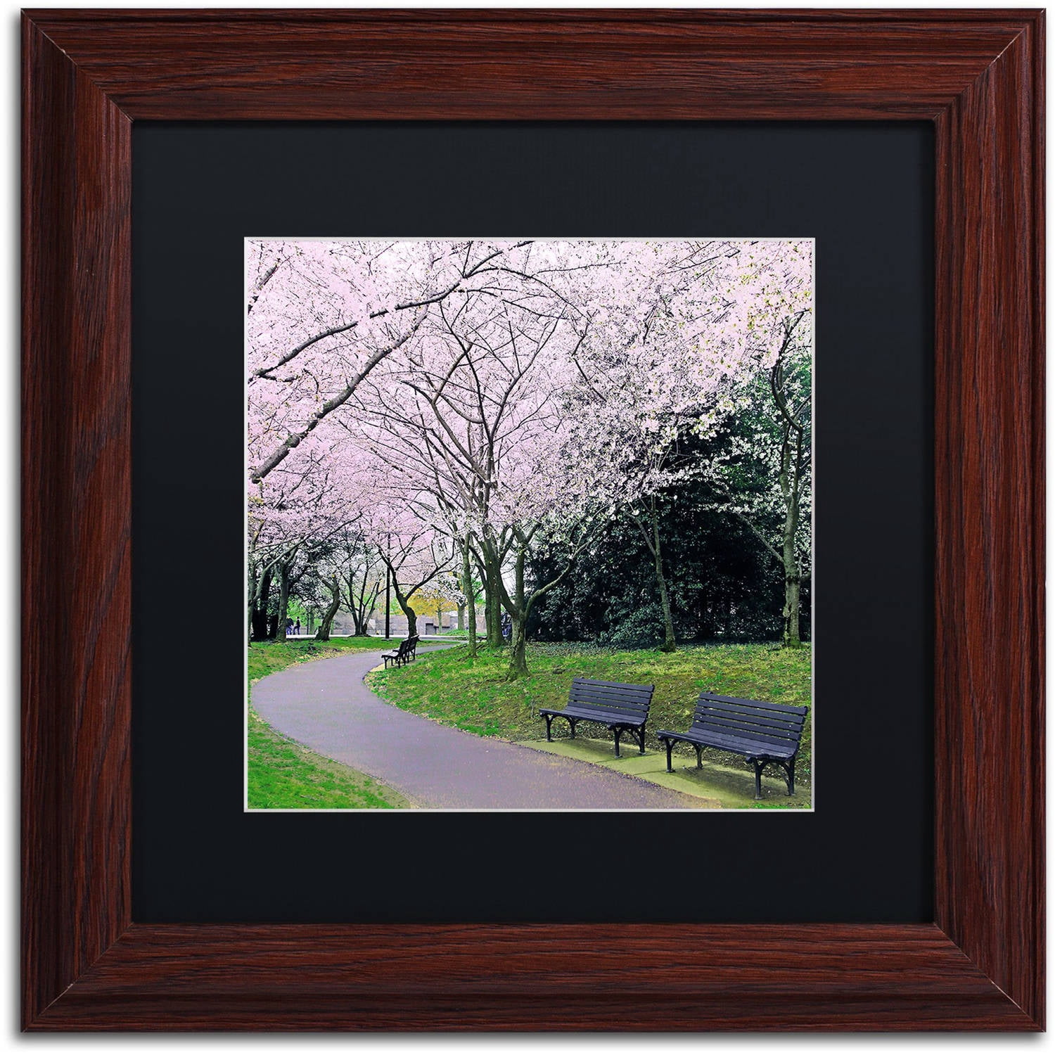 Trademark Fine Art "Spring Path" Canvas Art by CATeyes, Black Matte, Wood Frame