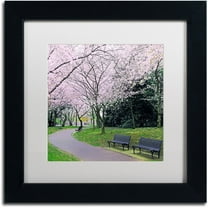 Trademark Fine Art "Spring Path" Canvas Art by CATeyes, White Matte, Black Frame