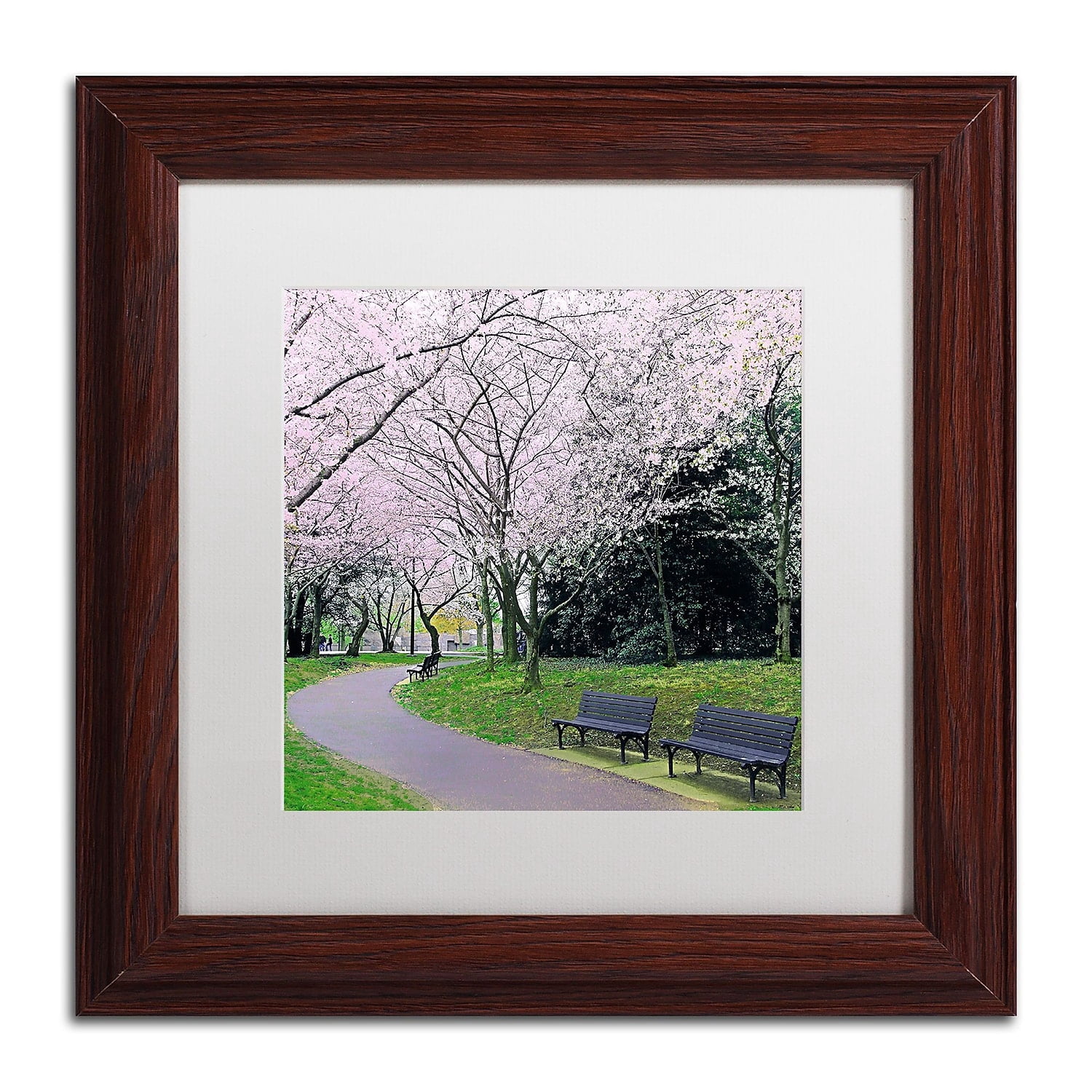 Trademark Fine Art "Spring Path" Canvas Art by CATeyes, White Matte, Wood Frame