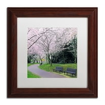 Trademark Fine Art "Spring Path" Canvas Art by CATeyes, White Matte, Wood Frame