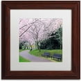 thumbnail image 1 of Trademark Fine Art "Spring Path" Canvas Art by CATeyes, White Matte, Wood Frame, 1 of 1