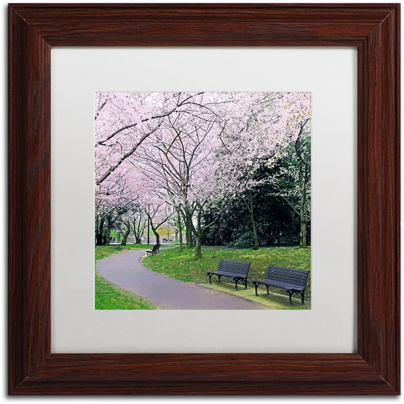 Trademark Fine Art "Spring Path" Canvas Art by CATeyes, White Matte, Wood Frame