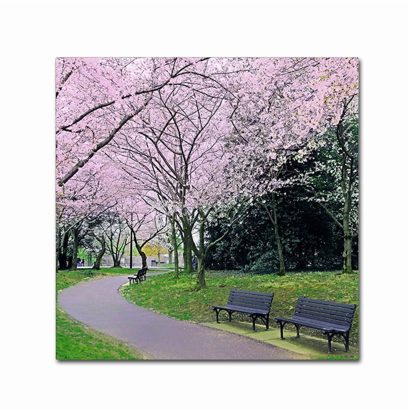 Trademark Fine Art "Spring Path" Canvas Art by CATeyes