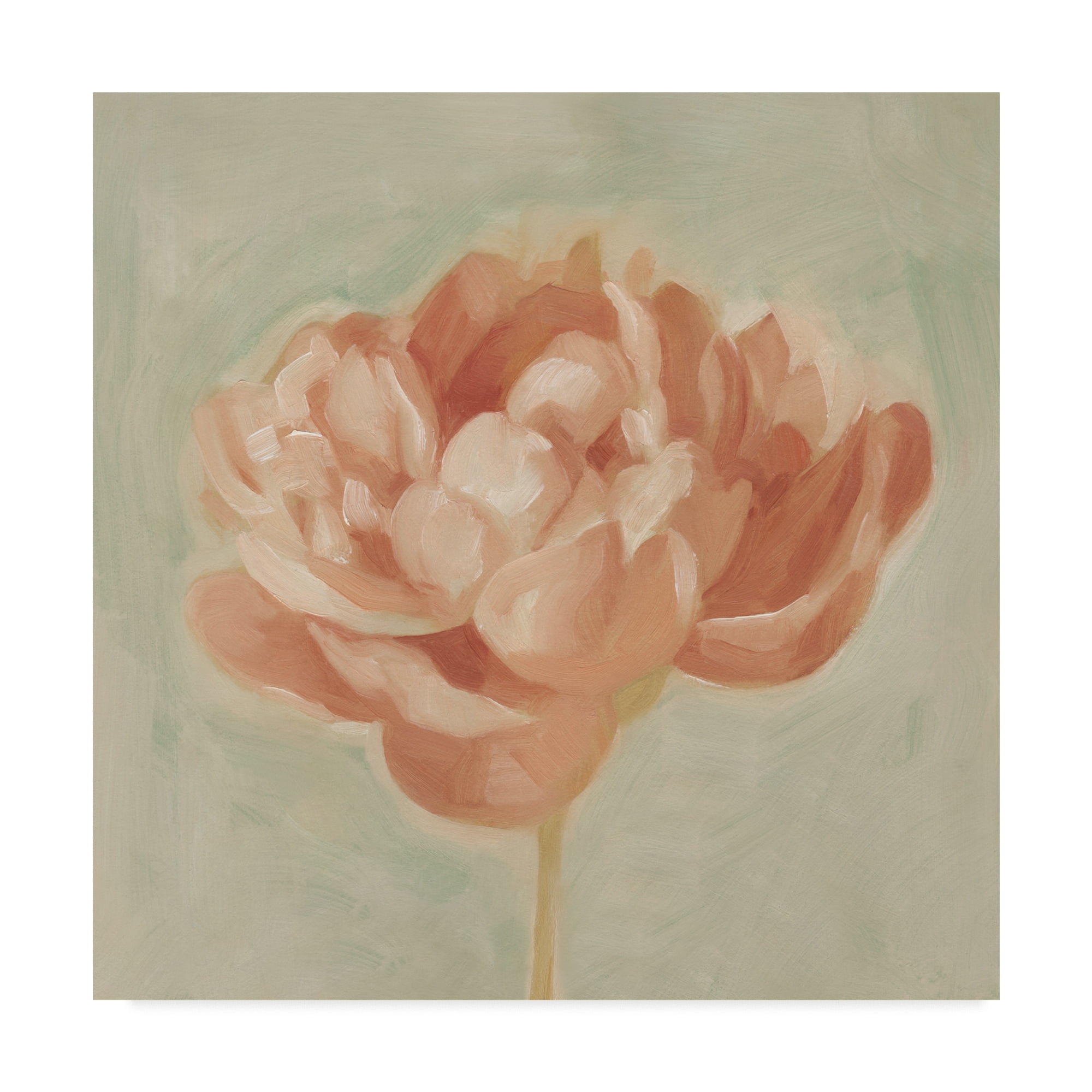 Spring Peony I 14x14 Pink Floral Canvas Art