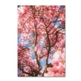 thumbnail image 1 of Trademark Fine Art 'Spring Perfume' Canvas Art by Philippe Sainte-Laudy, 1 of 3