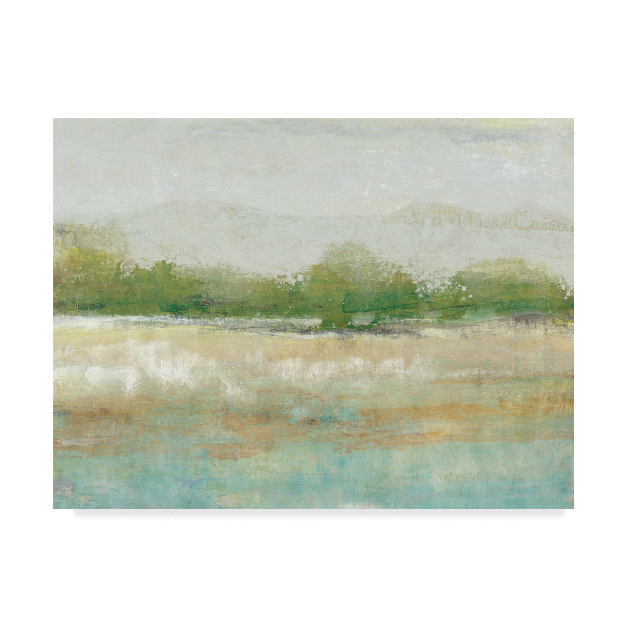 Trademark Fine Art 'Spring Tree line I' Canvas Art by Tim OToole