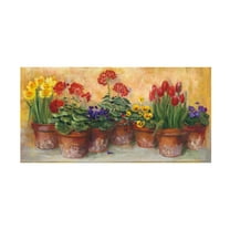 Trademark Fine Art 'Spring in the Greenhouse' Canvas Art by Carol Rowan