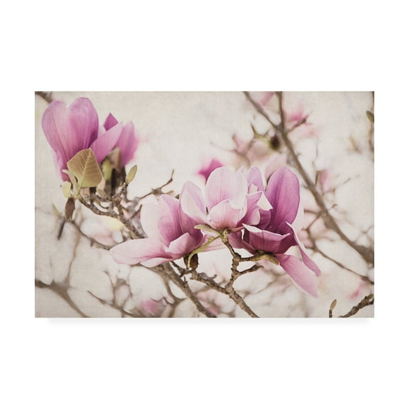 Trademark Fine Art 'Spring is In the Air III' Canvas Art by Elizabeth Urquhart