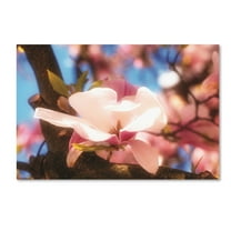 Trademark Fine Art 'Springtime' Canvas Art by Philippe Sainte-Laudy