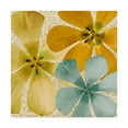 thumbnail image 1 of Trademark Fine Art 'Springtime Glow II' Canvas Art by Alonzo Saunders, 1 of 4