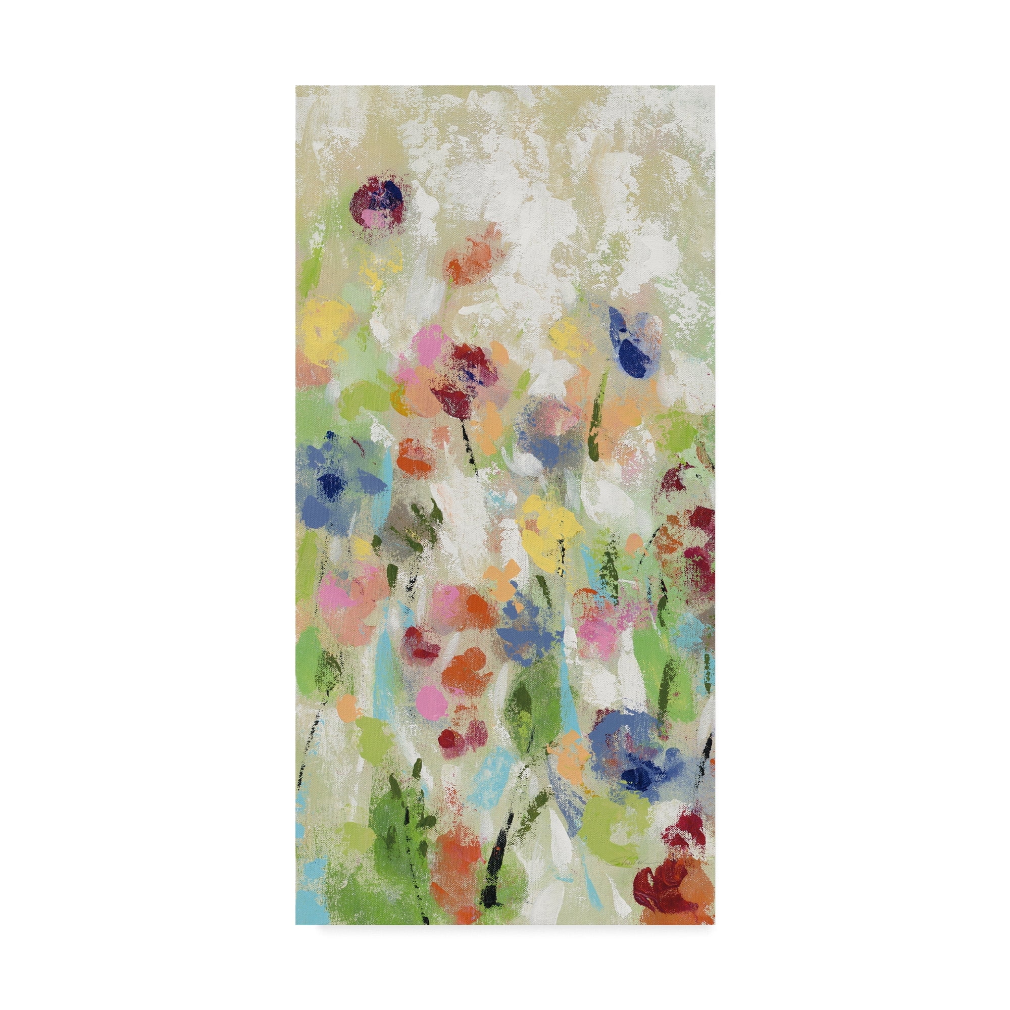 Silvia Vassileva 'Springtime Meadow Flowers II' Canvas Art