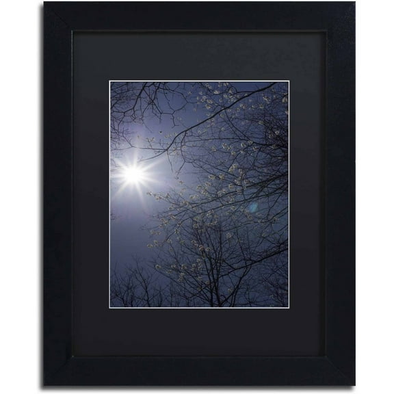 Trademark Fine Art "Springtime Sunshine" Canvas Art by Kurt Shaffer, Black Matte, Black Frame