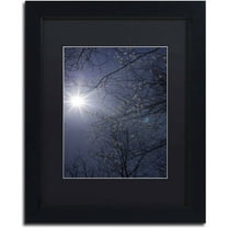 Trademark Fine Art "Springtime Sunshine" Canvas Art by Kurt Shaffer, Black Matte, Black Frame