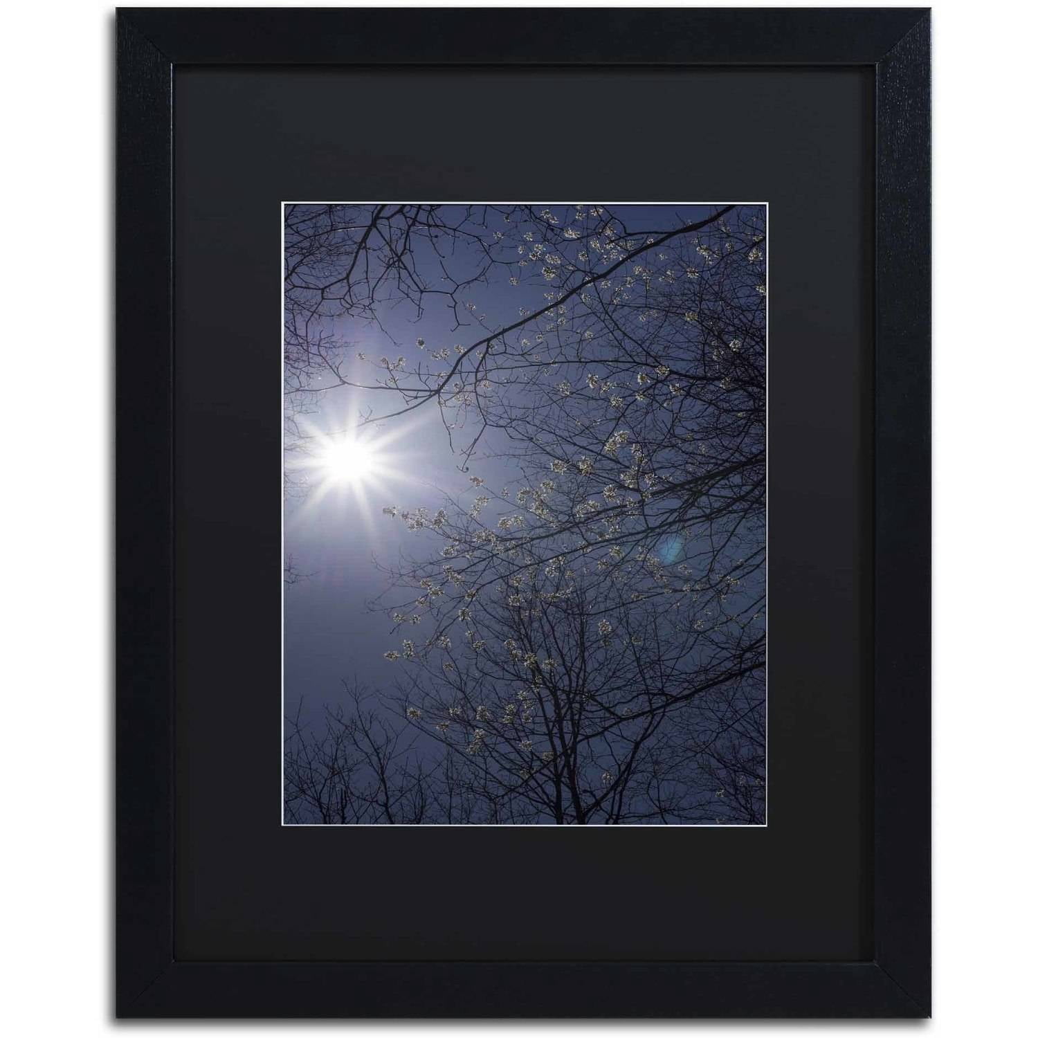 Trademark Fine Art "Springtime Sunshine" Canvas Art by Kurt Shaffer, Black Matte, Black Frame
