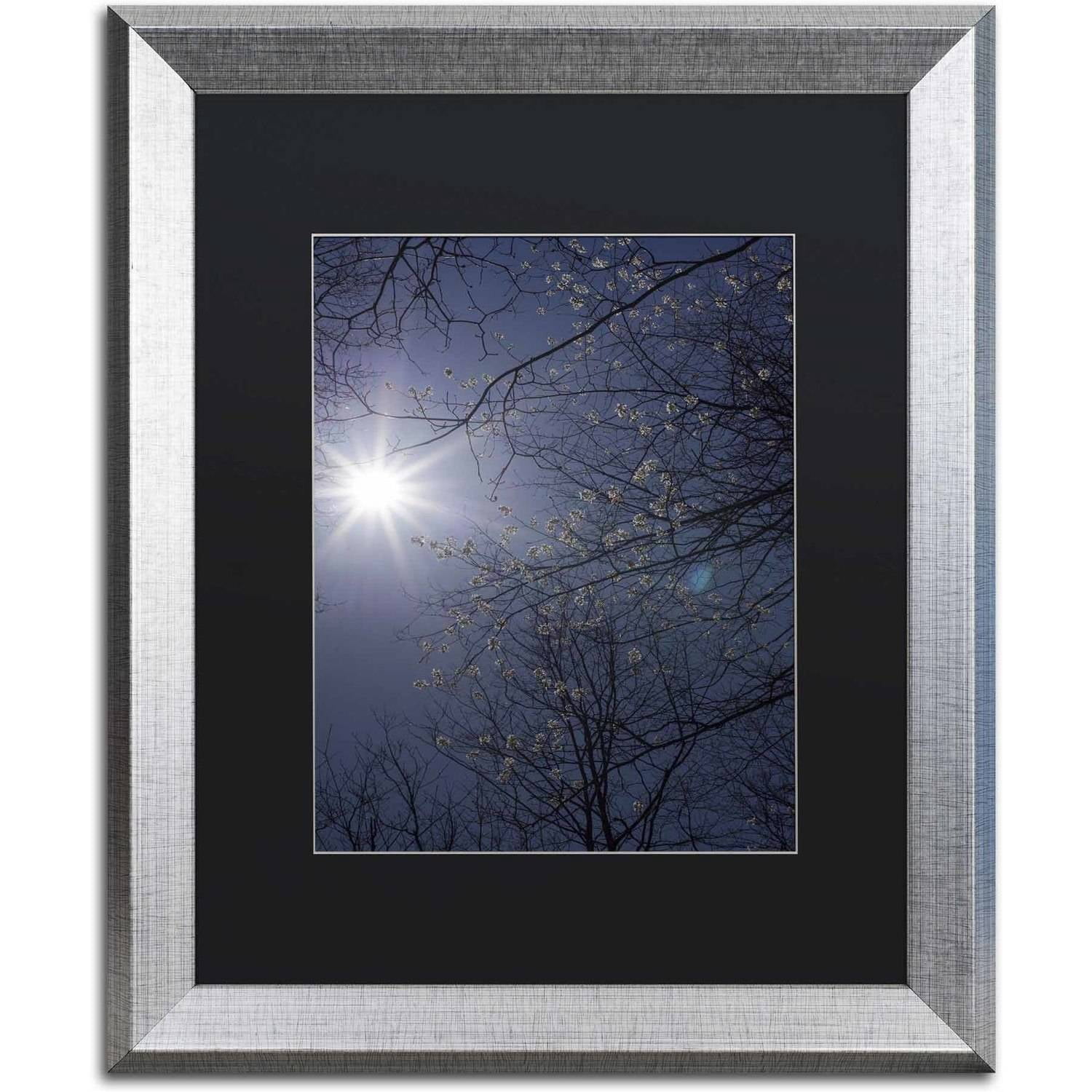 Trademark Fine Art "Springtime Sunshine" Canvas Art by Kurt Shaffer, Black Matte, Silver Frame