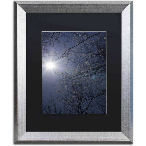 Trademark Fine Art "Springtime Sunshine" Canvas Art by Kurt Shaffer, Black Matte, Silver Frame