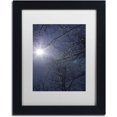 thumbnail image 1 of Trademark Fine Art "Springtime Sunshine" Canvas Art by Kurt Shaffer, White Matte, Black Frame, 1 of 4