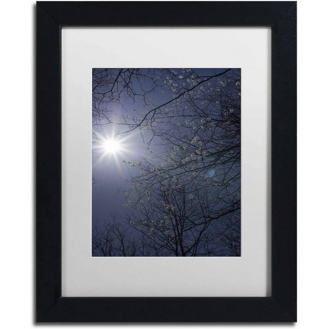 Trademark Fine Art "Springtime Sunshine" Canvas Art by Kurt Shaffer, White Matte, Black Frame