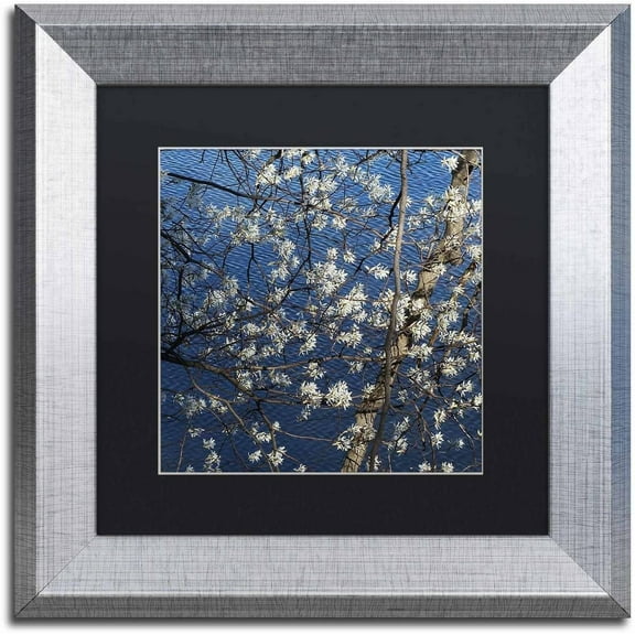 Trademark Fine Art "Springtime at the Lake" Canvas Art by Kurt Shaffer, Black Matte, Silver Frame