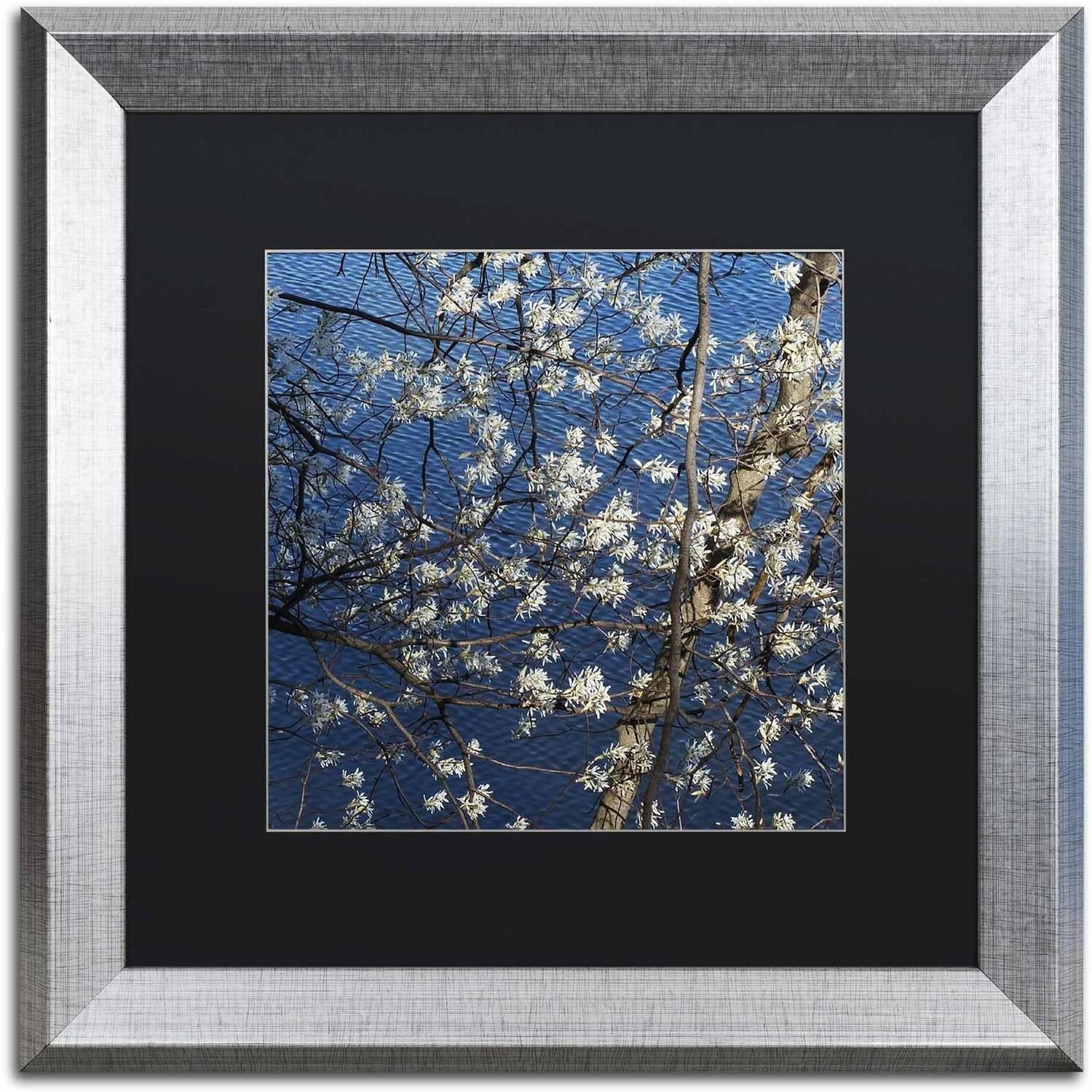 Trademark Fine Art "Springtime at the Lake" Canvas Art by Kurt Shaffer, Black Matte, Silver Frame