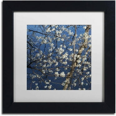 Trademark Fine Art "Springtime at the Lake" Canvas Art by Kurt Shaffer, White Matte, Black Frame