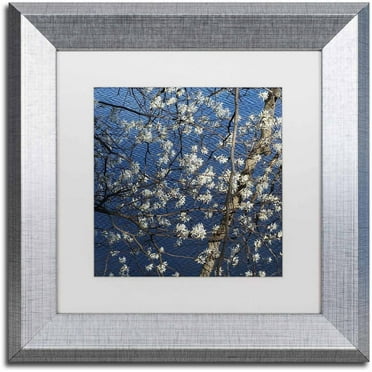 Trademark Fine Art "Springtime at the Lake" Canvas Art by Kurt Shaffer, White Matte, Silver Frame