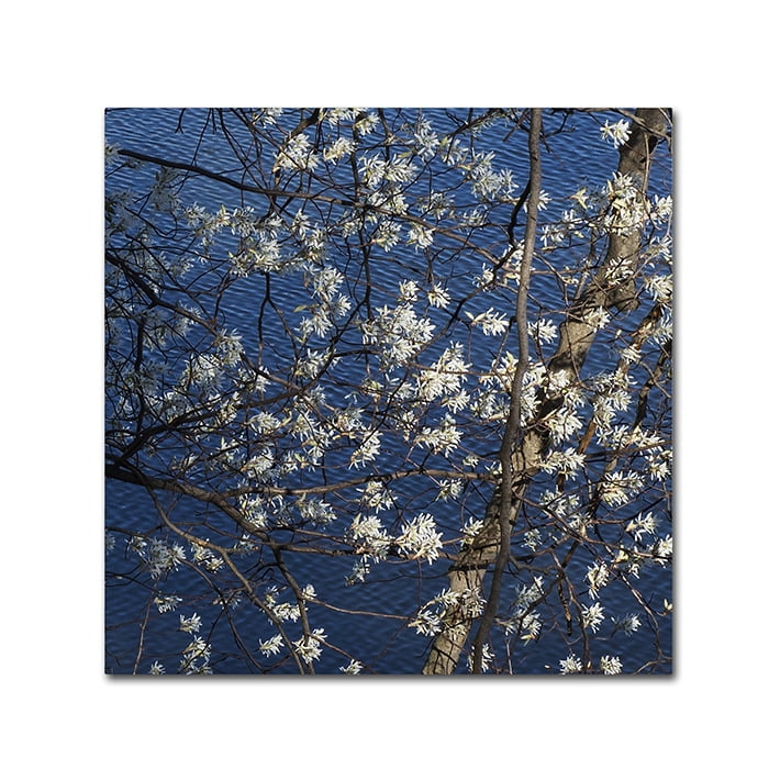 Trademark Fine Art "Springtime at the Lake" Canvas Art by Kurt Shaffer