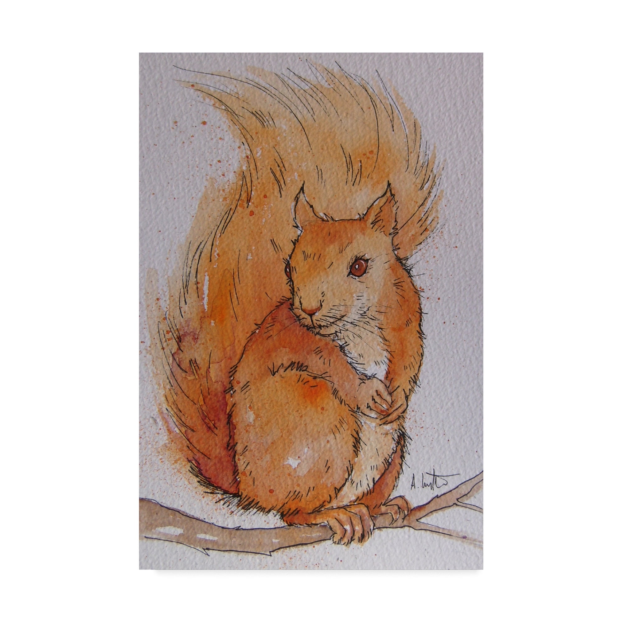 Trademark Fine Art 'Squirrel On White' Canvas Art by Angie Livingstone