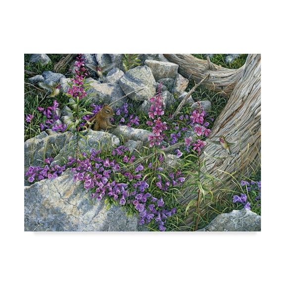 Trademark Fine Art 'Squirrel Painting' Canvas Art by Jeff Tift