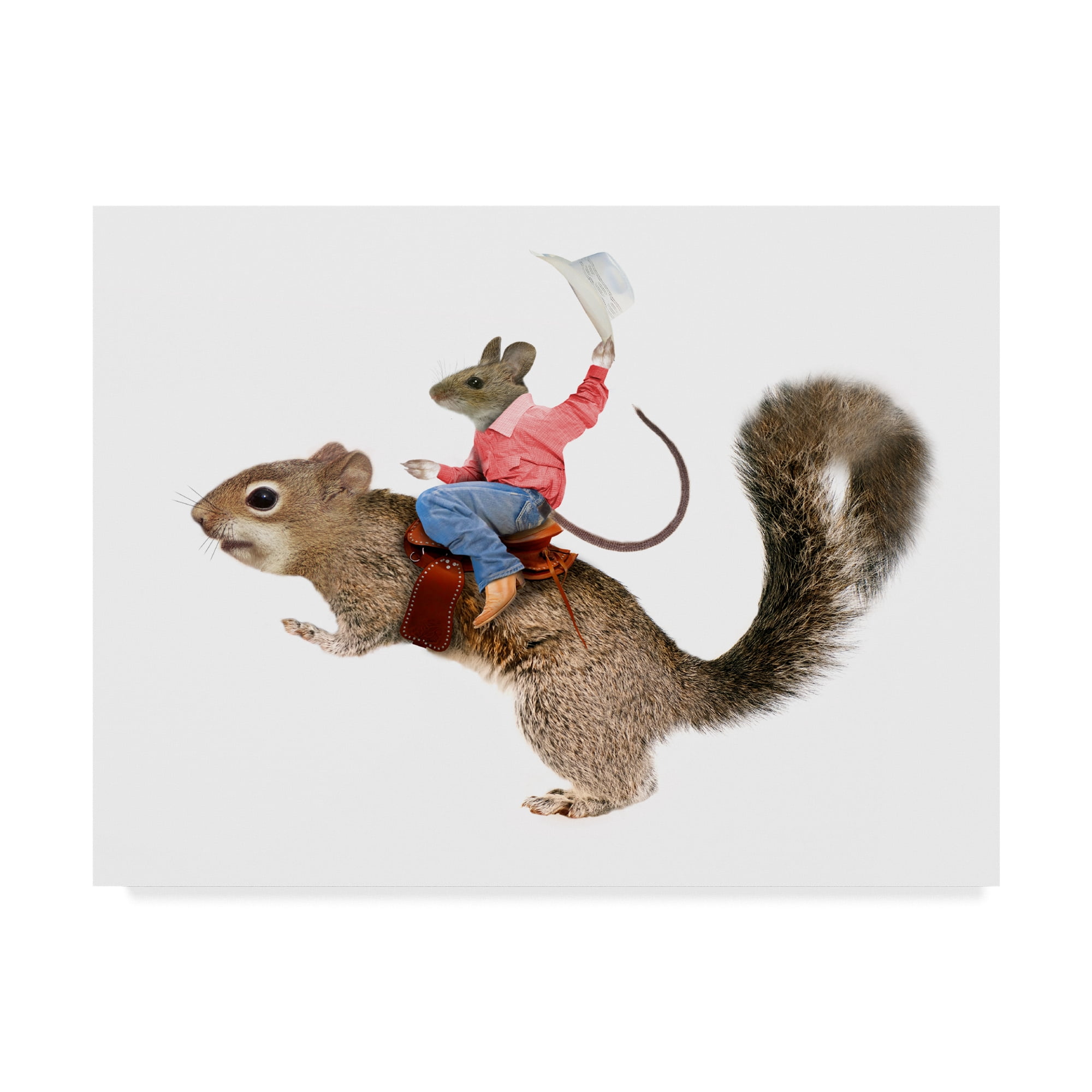 Trademark Fine Art 'Squirrel Rodeo' Canvas Art by J Hovenstine Studios