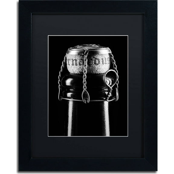 Trademark Fine Art "St. Bernardus" Canvas Art by Jason Shaffer, Black Matte, Black Frame