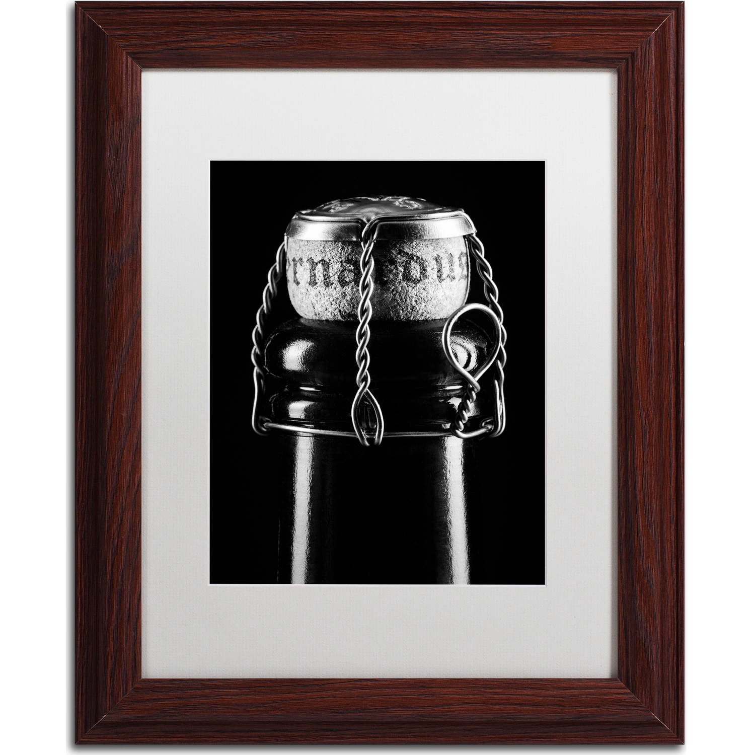 Trademark Fine Art "St. Bernardus" Canvas Art by Jason Shaffer, White Matte, Wood Frame
