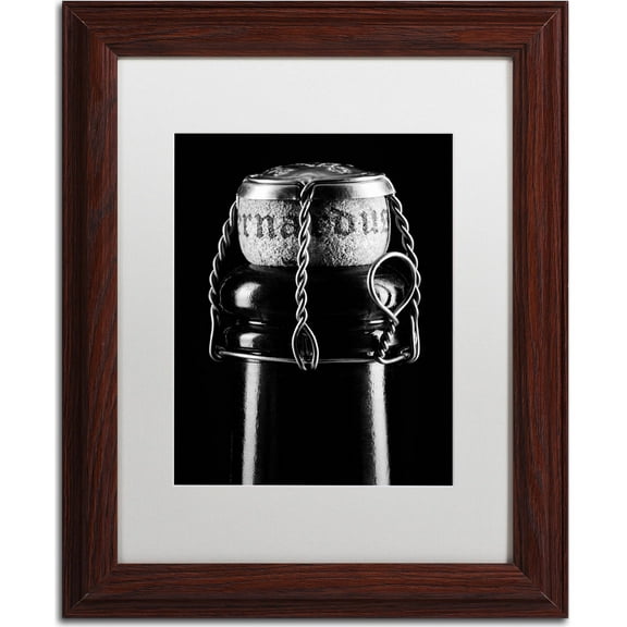 Trademark Fine Art "St. Bernardus" Canvas Art by Jason Shaffer, White Matte, Wood Frame