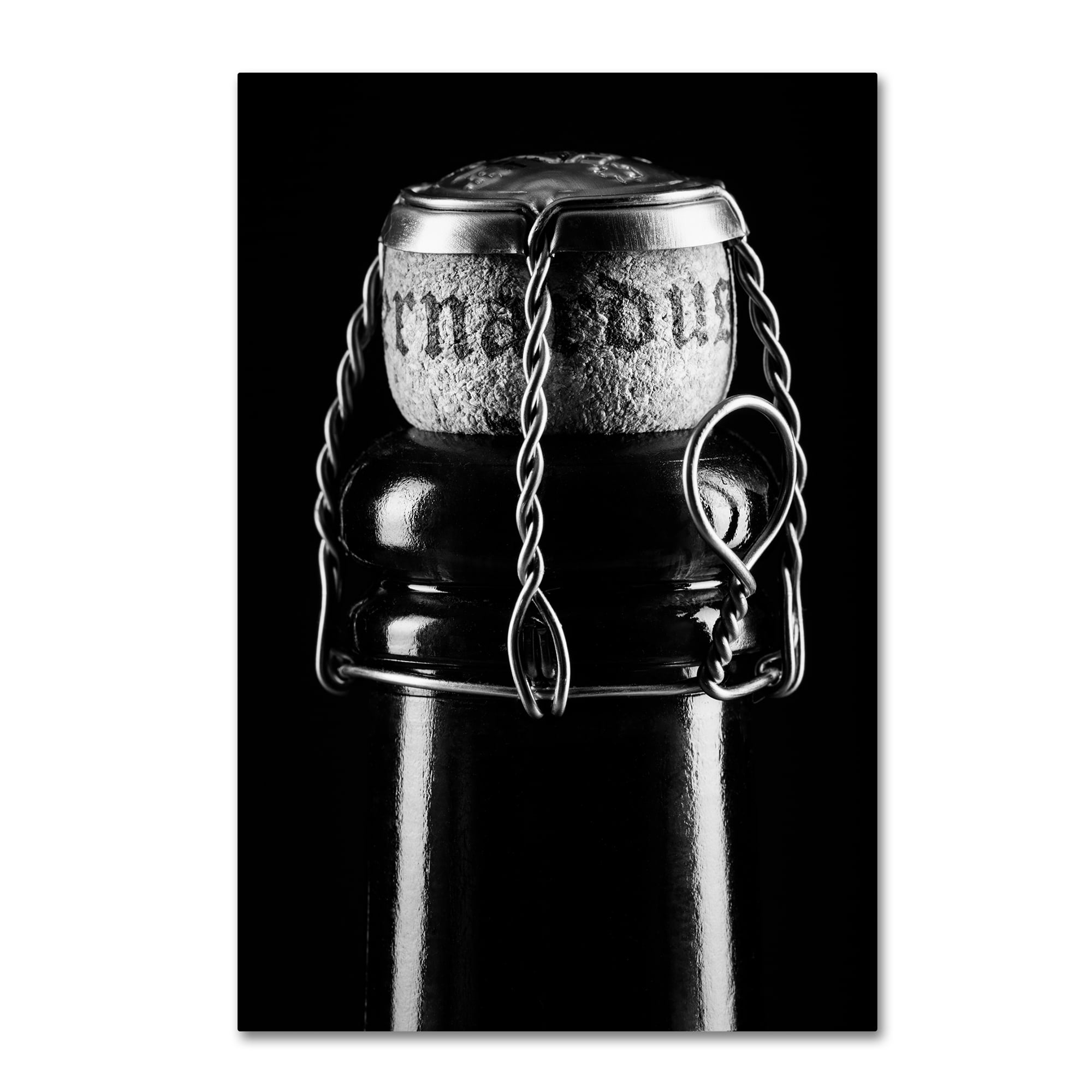 Trademark Fine Art "St. Bernardus" Canvas Art by Jason Shaffer