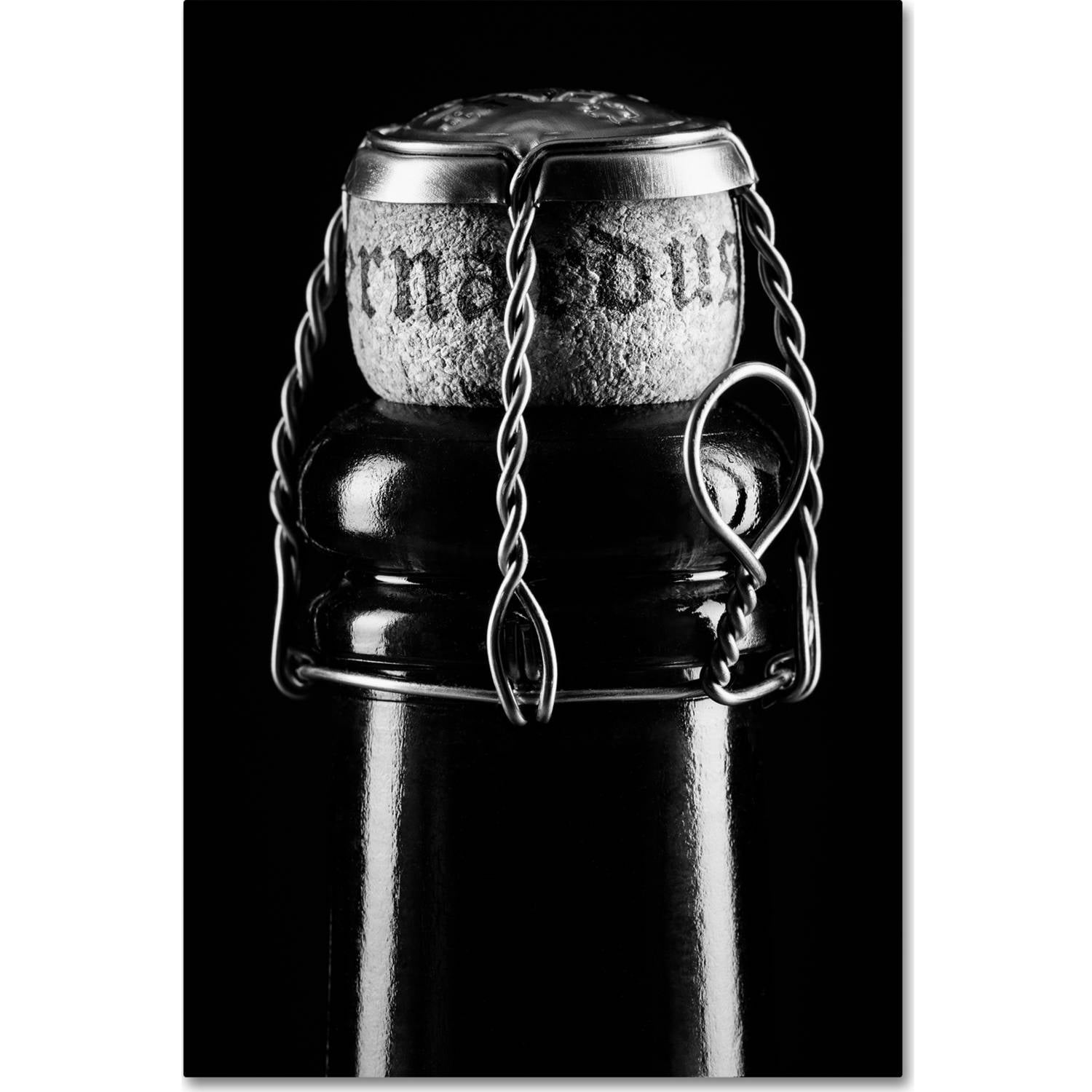 Trademark Fine Art "St. Bernardus" Canvas Art by Jason Shaffer
