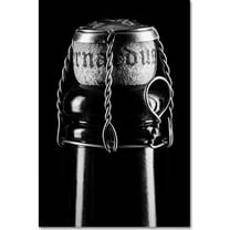 Trademark Fine Art "St. Bernardus" Canvas Art by Jason Shaffer