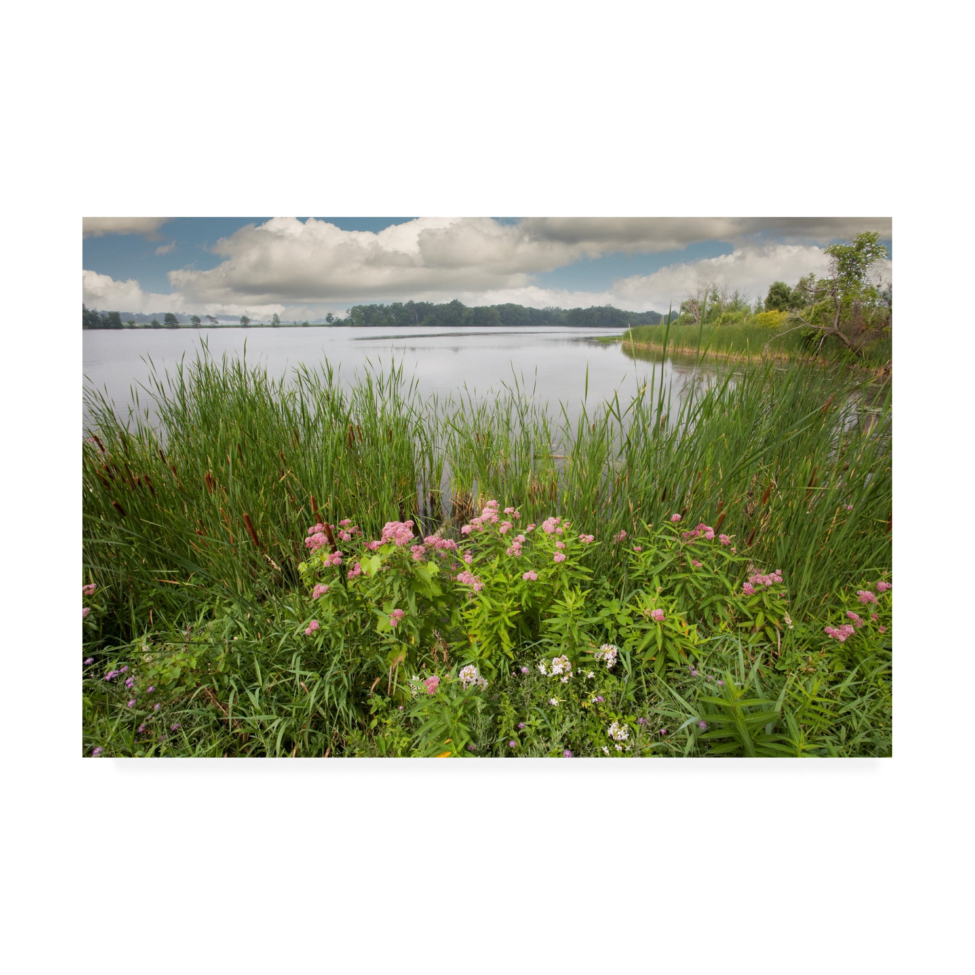 Trademark Fine Art 'St. Joseph River Centreville Michigan' Canvas Art by Monte Nagler