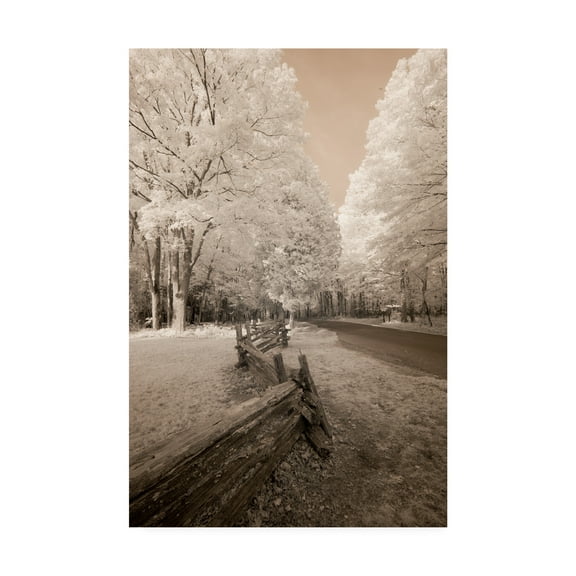 Trademark Fine Art 'Staggered Fence Sepia' Canvas Art by Monte Nagler