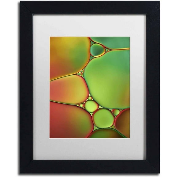 Trademark Fine Art 'Stained Glass II' Canvas Art by Cora Niele, White Matte, Black Frame