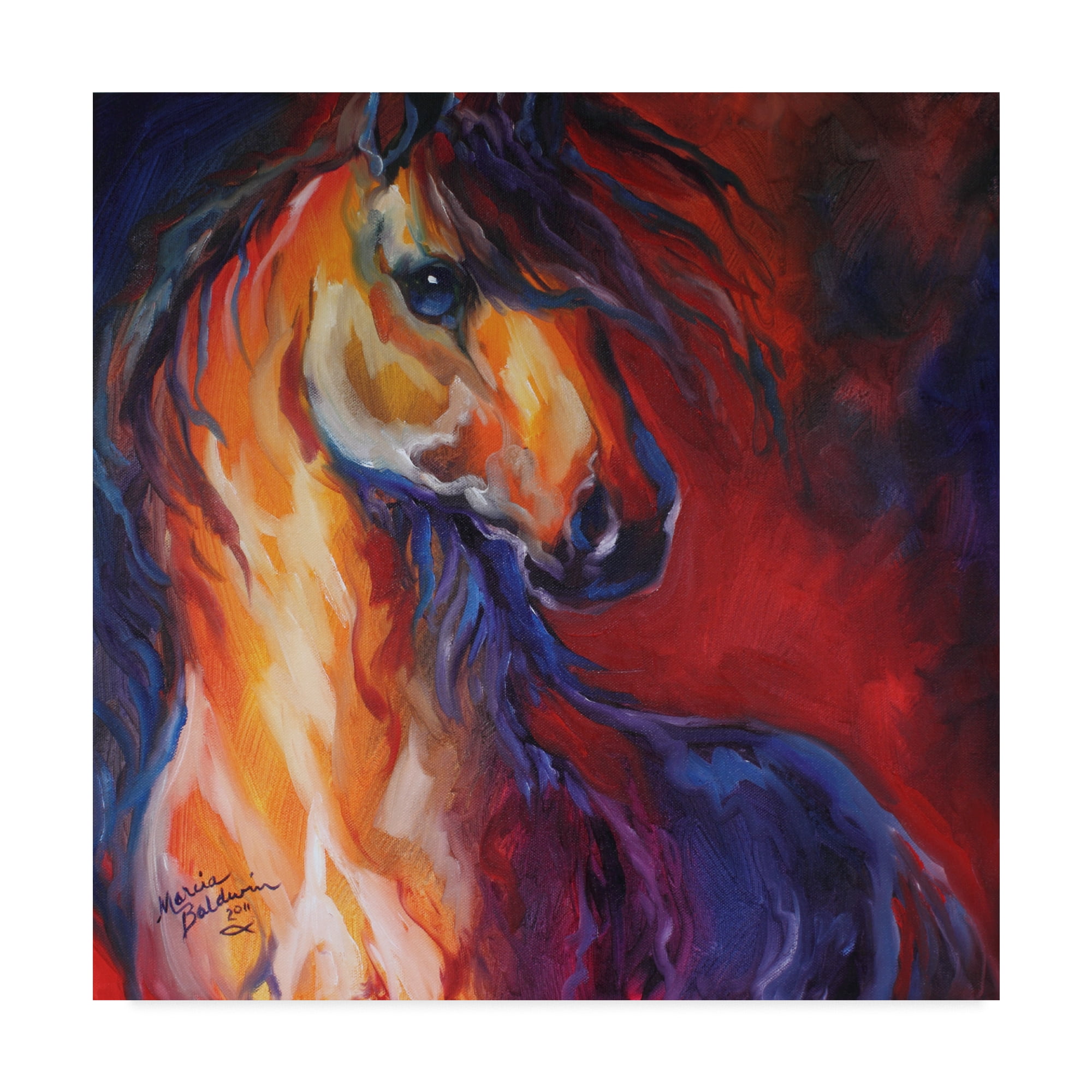 Trademark Fine Art 'Stallion Red Dawn' Canvas Art by Marcia Baldwin