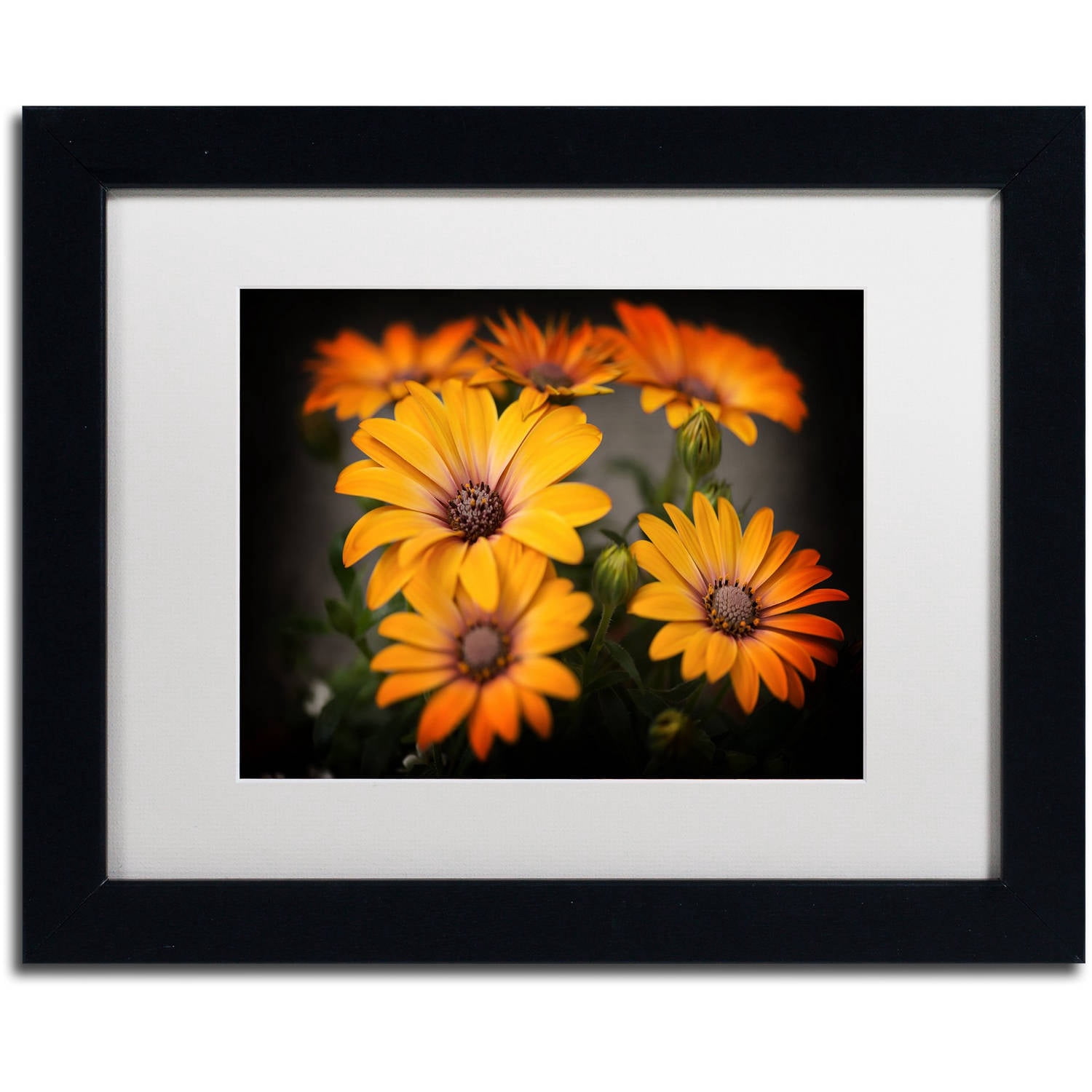 Trademark Fine Art "Stand Up" Canvas Art by Philippe Sainte-Laudy, White Matte, Black Frame