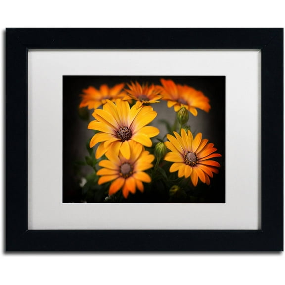 Trademark Fine Art "Stand Up" Canvas Art by Philippe Sainte-Laudy, White Matte, Black Frame