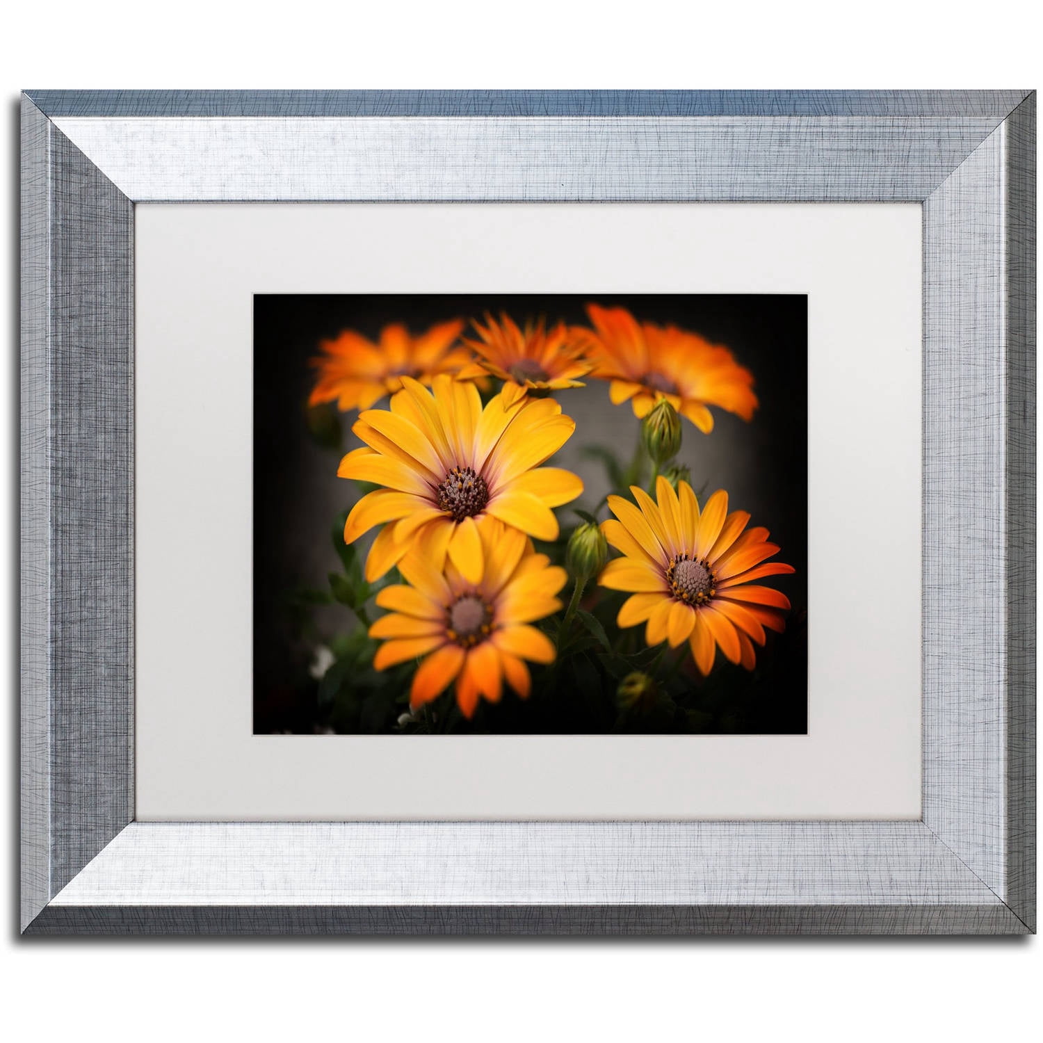 Trademark Fine Art "Stand Up" Canvas Art by Philippe Sainte-Laudy, White Matte, Silver Frame