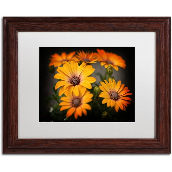 Trademark Fine Art "Stand Up" Canvas Art by Philippe Sainte-Laudy, White Matte, Wood Frame