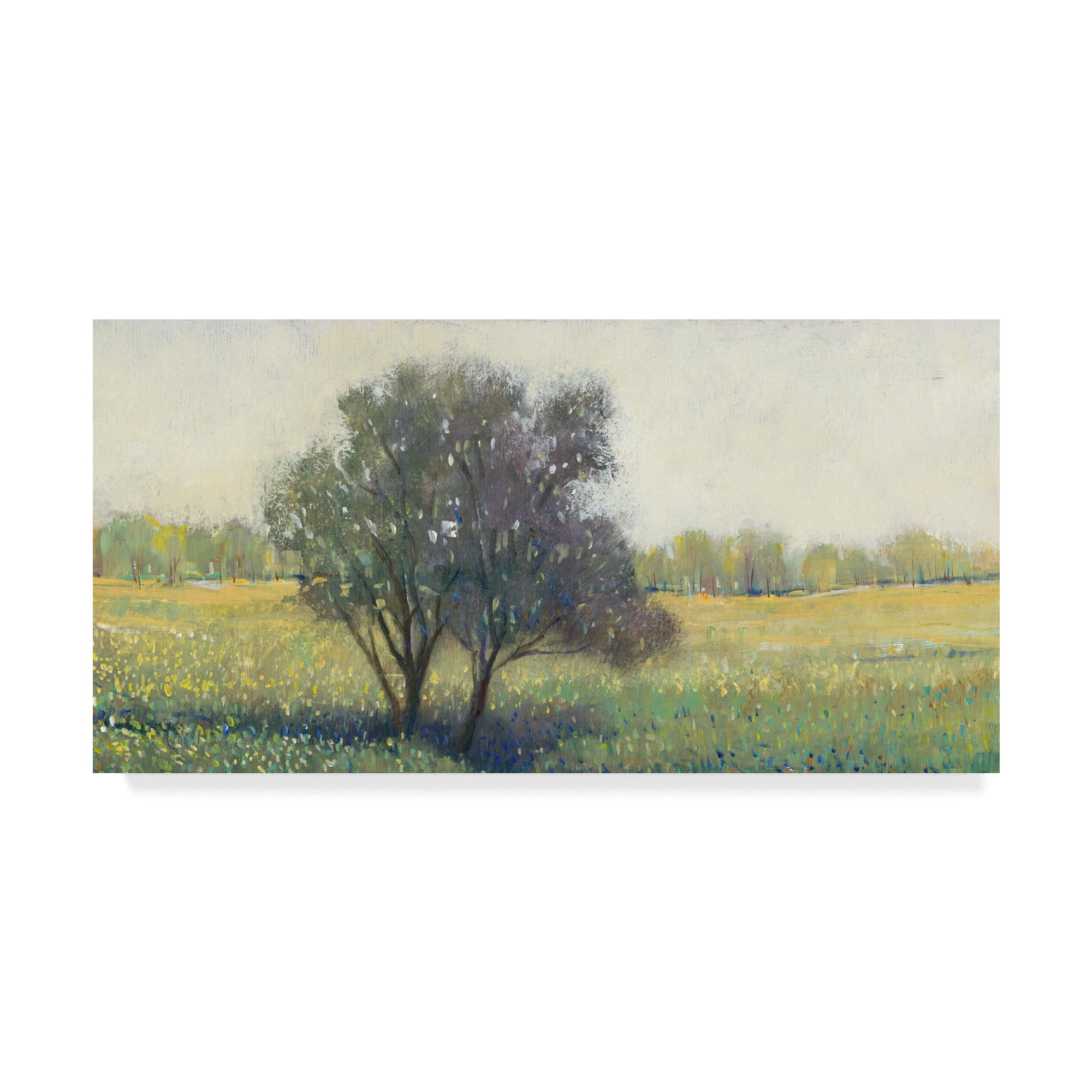Trademark Fine Art 'Standing Alone I' Canvas Art by Tim OToole