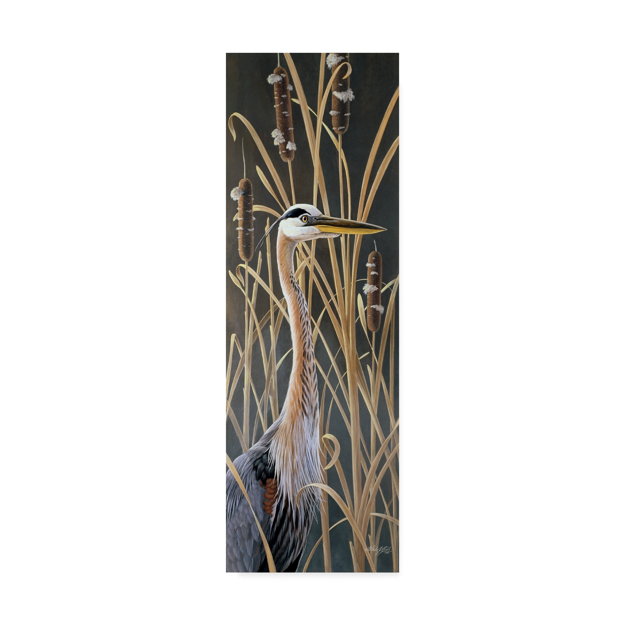 Trademark Fine Art 'Standing Tall' Canvas Art by Wilhelm Goebel