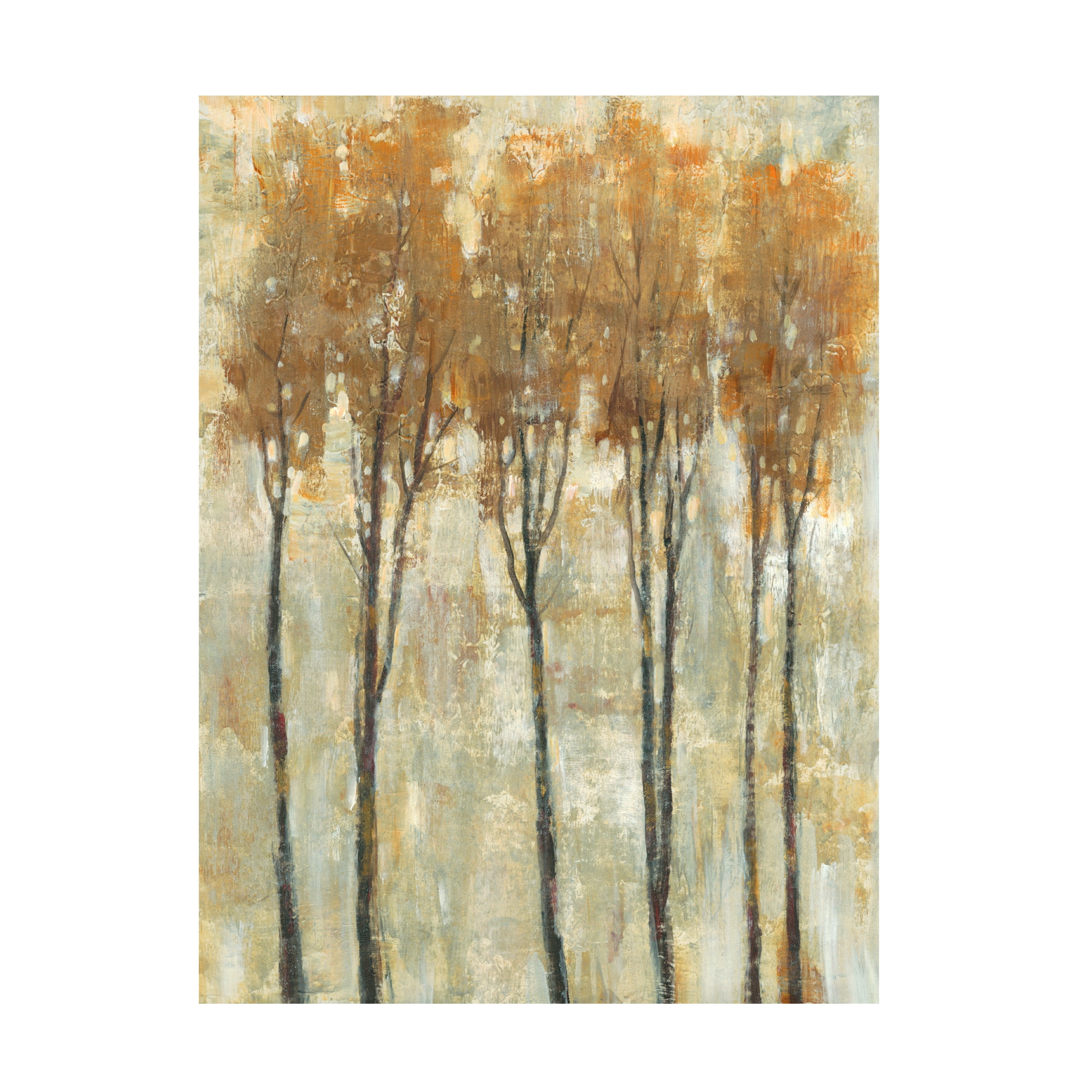 Trademark Fine Art Tim OToole Standing Tall In Autumn I Canvas Wall Art - 35x47