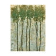 thumbnail image 1 of Trademark Fine Art 'Standing Tall in Spring I' Canvas Art by Tim OToole, 1 of 4
