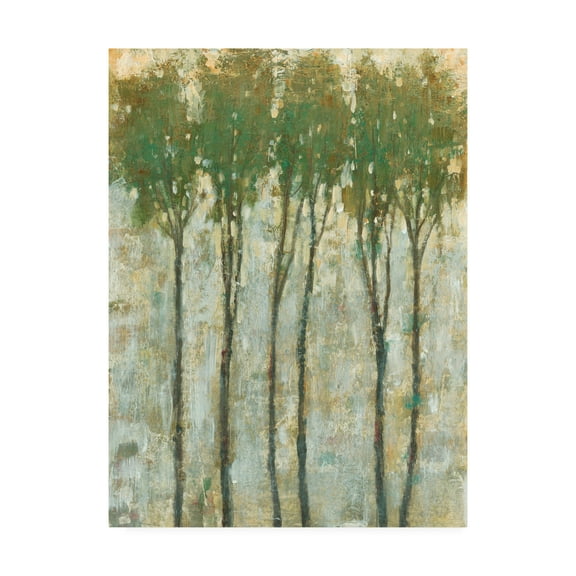 Trademark Fine Art 'Standing Tall in Spring I' Canvas Art by Tim OToole