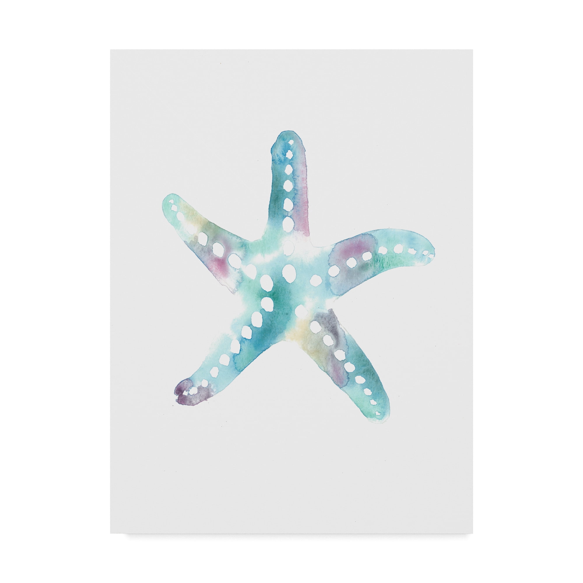 Trademark Fine Art 'Star Fish' Canvas Art by Nicky Kumar